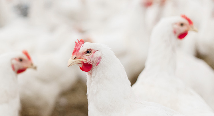 �������ʹ���-��Ӫ��ȫ,����һ·�ɳ�