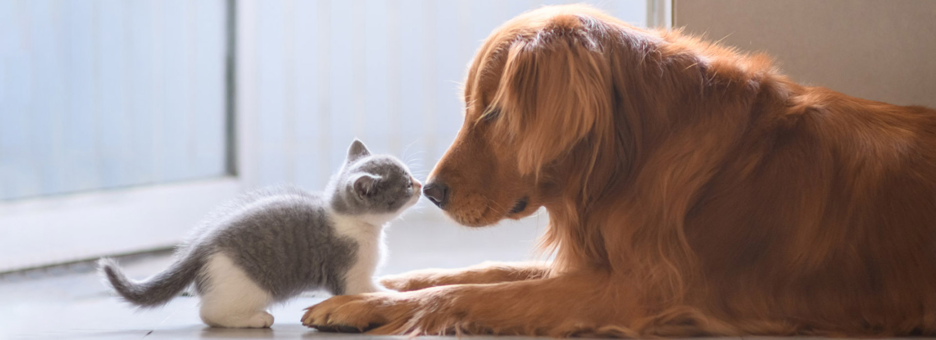 �������ʹ���-��Ӫ��ȫ,����һ·�ɳ�