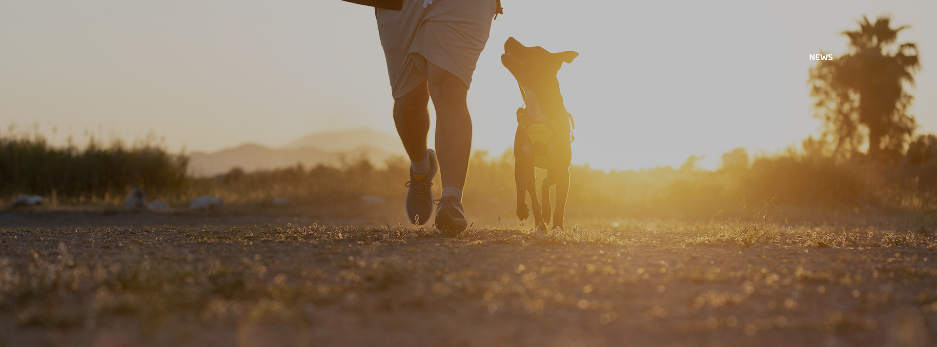 �������ʹ���-��Ӫ��ȫ,����һ·�ɳ�