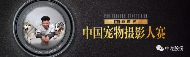 �������ʹ���-��Ӫ��ȫ,����һ·�ɳ�