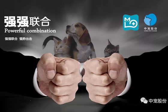 �������ʹ���-��Ӫ��ȫ,����һ·�ɳ�