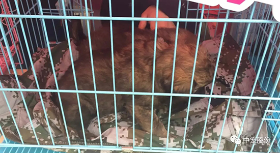 b8f1562035f84c95bc780fed375cf5fe