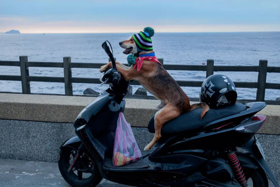 27a9b4a071d1498398ec5413b7362689