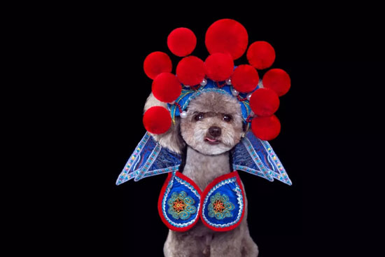 47564f20f50e4d4cb138bdeda6ae699d