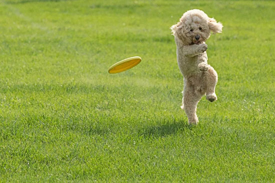 7aa9c9f560a043dfbffd74068180aadc