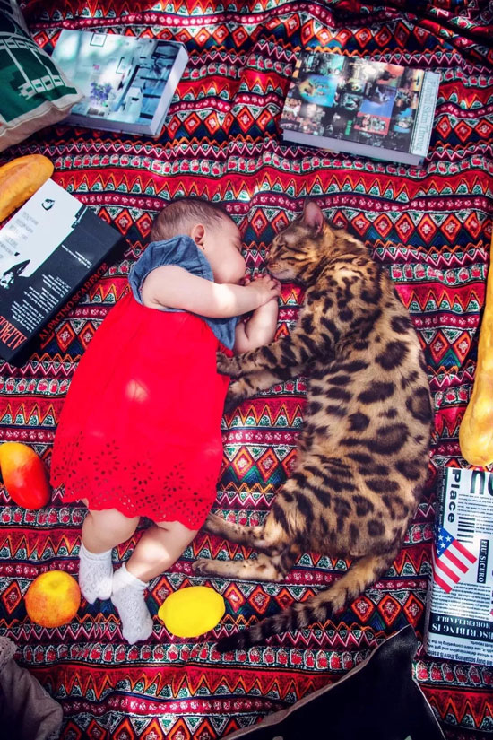 �������ʹ���-��Ӫ��ȫ,����һ·�ɳ�