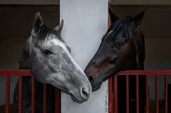 a92d03543c144b019c642a81c92663bc