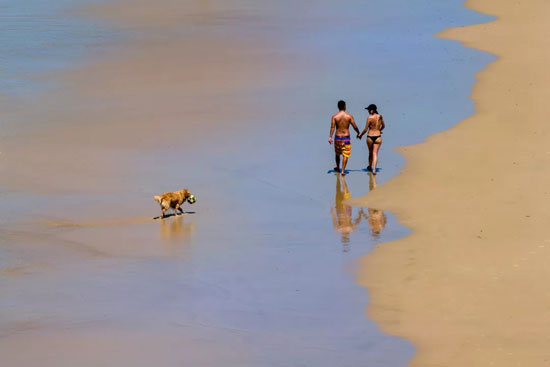 bef727da2a7b4a96bc94d9d2c4921545