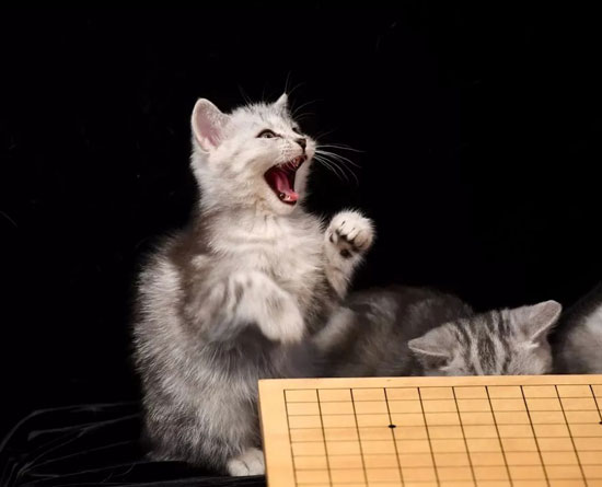 d1be483d51cc49beaf7e62af01c1bdb3