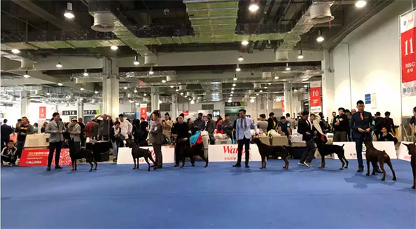 556d7083108a4f968613b7800c931111