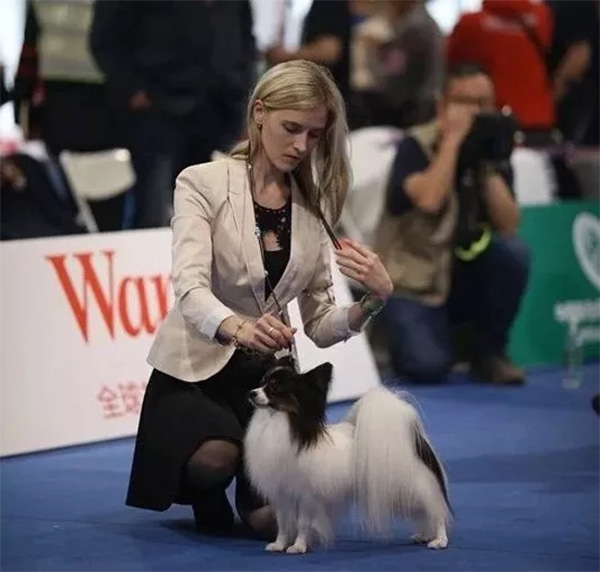 59d5e96181e8440ea39e60a17eef170e