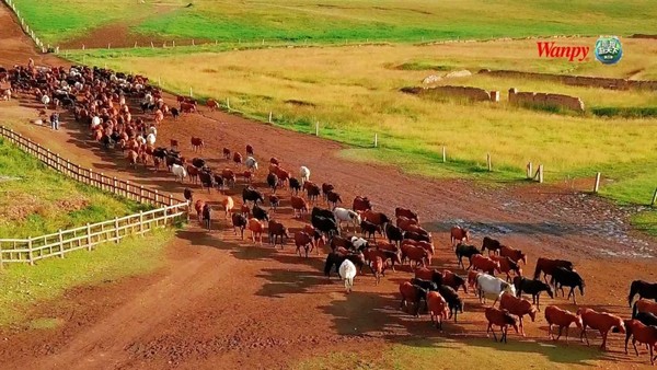 0e17dd30badd4a0facdd6e5a7cc963cd