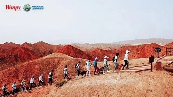 302548ebf3614495b3809a31f5776e62