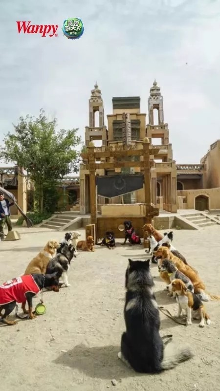 a6597ee904d04e00a7c70f5c22111aa9