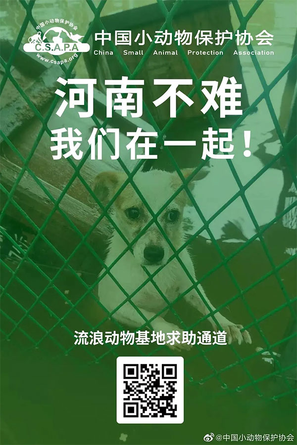 cde4a5e0f54944b5bb7bc416a3eb38fb