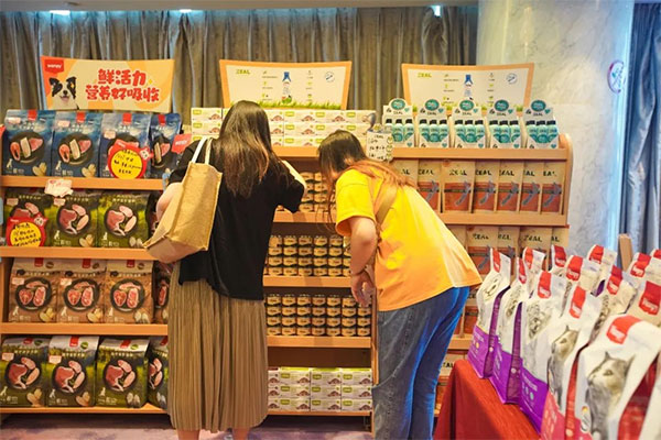 12ad076426824f1bab4de990feffb5e8