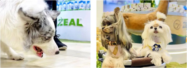 6628b784a1f4467caae3b273f543c784