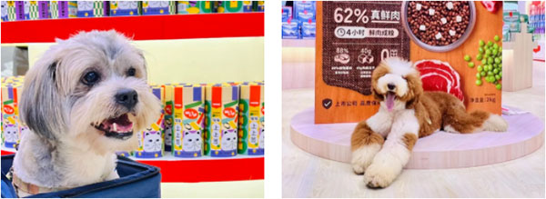 dc40d649c93d4c8cad318f074bb7f92b