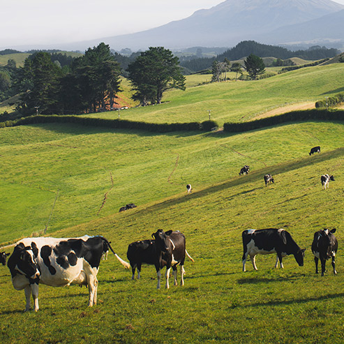 �������ʹ���-��Ӫ��ȫ,����һ·�ɳ�