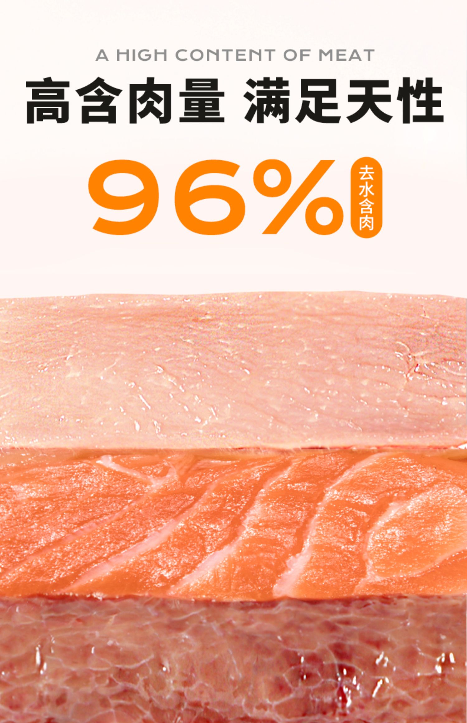 97de9693f92c454cbe0e38fe32a11055