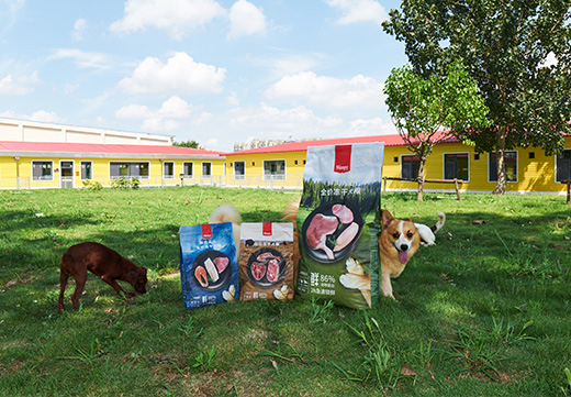 �������ʹ���-��Ӫ��ȫ,����һ·�ɳ�