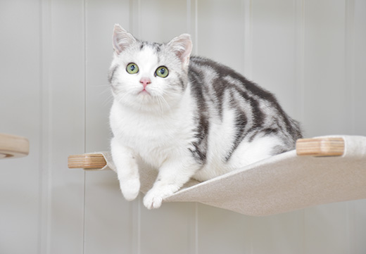 �������ʹ���-��Ӫ��ȫ,����һ·�ɳ�