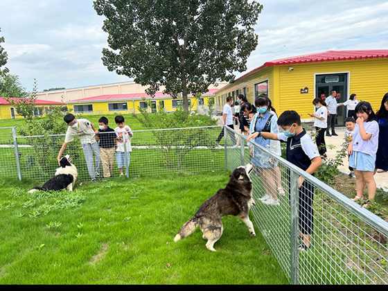 �������ʹ���-��Ӫ��ȫ,����һ·�ɳ�