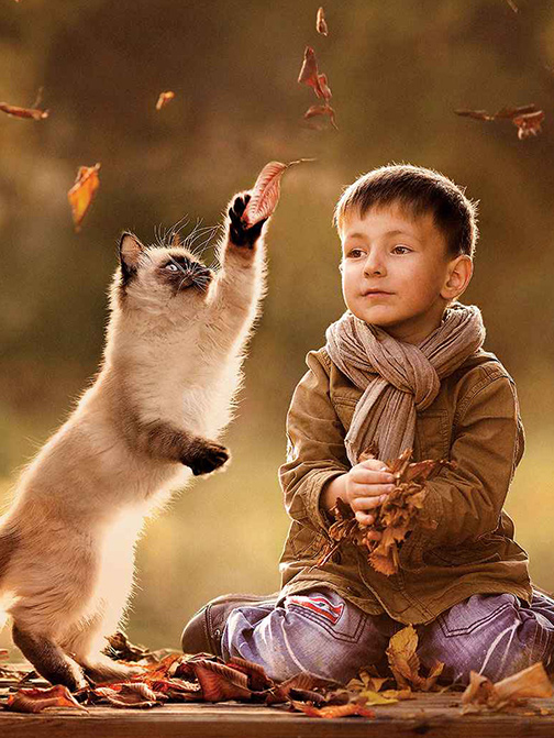 �������ʹ���-��Ӫ��ȫ,����һ·�ɳ�