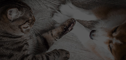 �������ʹ���-��Ӫ��ȫ,����һ·�ɳ�