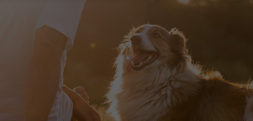 �������ʹ���-��Ӫ��ȫ,����һ·�ɳ�