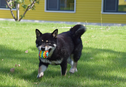 �������ʹ���-��Ӫ��ȫ,����һ·�ɳ�